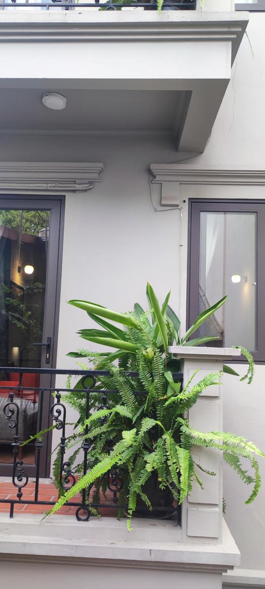T Home Balcony Homestay Ханой Экстерьер фото